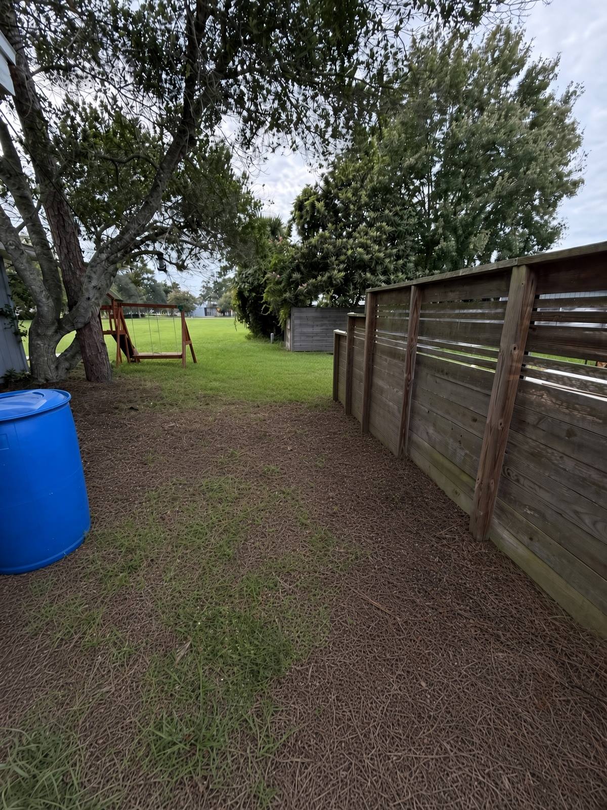 Backyard cleaned up with fresh lawn and tidy fence line