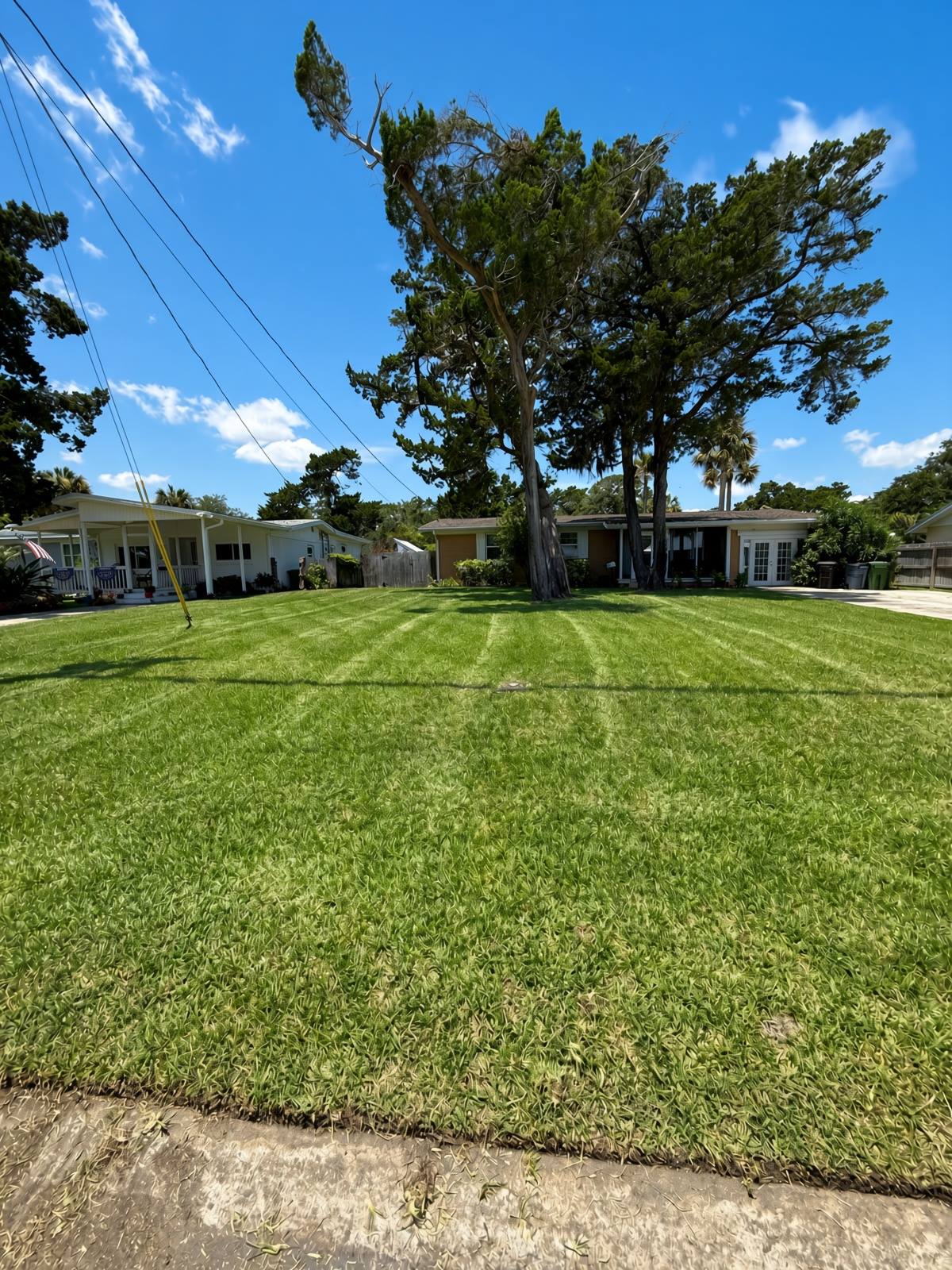 Freshly mowed and striped front lawn in St. Augustine