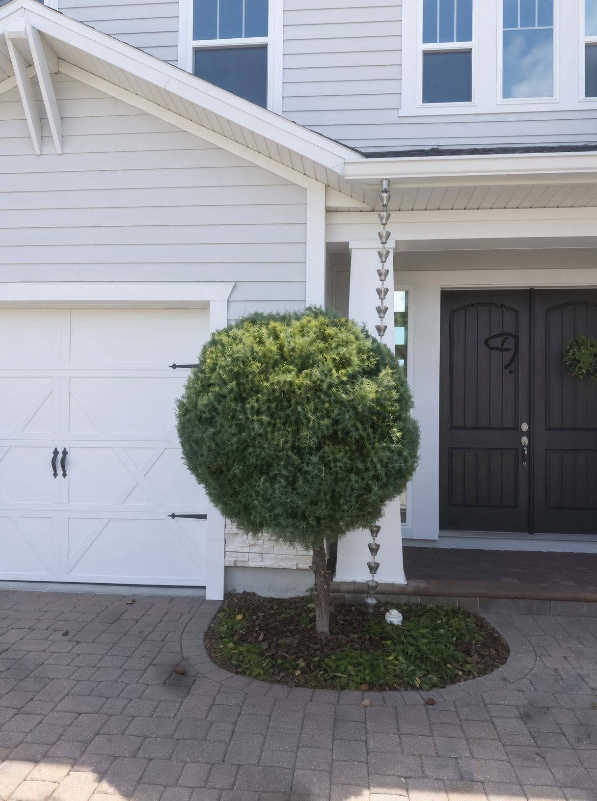Neatly trimmed topiary shrub at a front entry